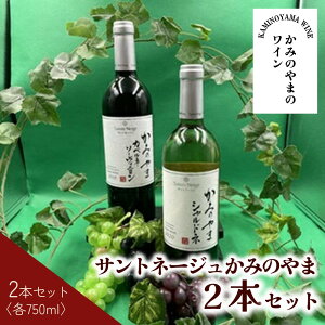 yӂ邳Ɣ[ŁzTgl[W ݂̂܎Y  750ml × 2{ Zbg C {C JxlE\[Bj Vhl   R` Rs 0141-2407