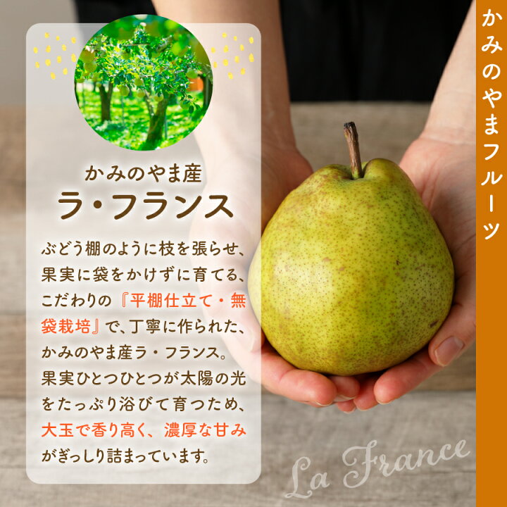 楽天市場】【ふるさと納税】西洋梨（ラ・フランス）3kg ご家庭用 秋 旬 