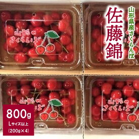 【ふるさと納税】 さくらんぼ 佐藤錦 800g （ 200g × 4パック ） Lサイズ以上 山形県 上山市 0007-2401