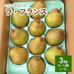 yӂ邳Ɣ[Łz m ( EtX ) 3kg Gi 9`12 3L`L TCY ʕ t[c m  Yn  R` Rs 0007-2501