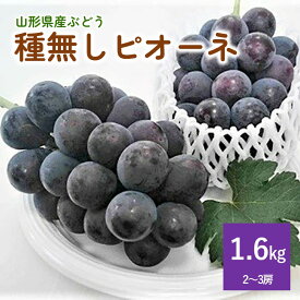 【ふるさと納税】ぶどう ピオーネ 1.6kg 果物 フルーツ お取り寄せ 山形 産地直送 送料無料 山形県 上山市 0009-2411