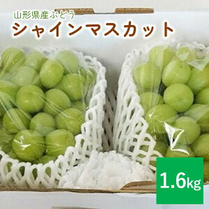 yӂ邳Ɣ[ŁzԂǂ ( VC}XJbg ) 1.6kg 2`3[ 嗱 uhE  t[c  ʕ Yn  O k R` Rs 0009-2508