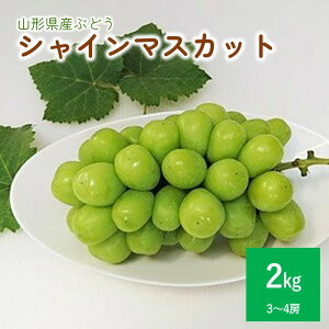 yӂ邳Ɣ[ŁzԂǂ (VC}XJbg) 2kg 3`4[ 嗱 uhE  t[c  ʕ Yn  O k R` Rs 0009-2509