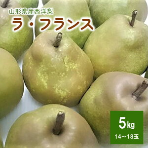 yӂ邳Ɣ[Łzm (EtX) 5kg 14`18 ƒp tX mȂ miV m t[c  ʕ Yn  O k R` Rs 0009-2510