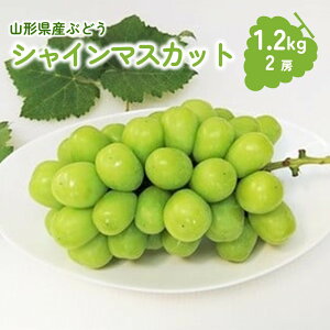 yӂ邳Ɣ[Łz Ԃǂ VC}XJbg 1.2kg ʕ t[c  R` Yn  R` Rs 0009-2506