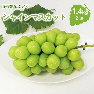 yӂ邳Ɣ[Łz Ԃǂ ( VC}XJbg ) 1.4kg 2[ 嗱 uhE  t[c  ʕ Yn  O k R` Rs 0009-2507