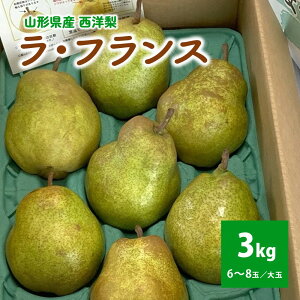 yӂ邳Ɣ[Łzm ( EtX ) 3kg  ƒp ʕ t[c m m tX R` Yn   O R` Rs 0009-2511