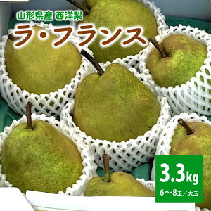 yӂ邳Ɣ[Łzm EtX 3.3kg  Gi tX mȂ miV m t[c  ʕ Yn  O k R` Rs 0009-2513