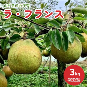 yӂ邳Ɣ[Łz m ( EtX ) 3kg ƒp t[c R` Rs 0010-2503