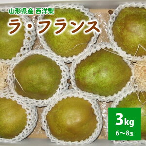 yӂ邳Ɣ[Łzm ( EtX ) 3kg 6`8  Gi R` Rs 0011-2506