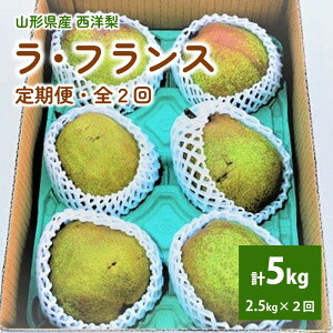 yӂ邳Ɣ[Łzy  S2 z EtX 2.5kg  2 ͂ ʕ t[c mȂ  R` Yn  R` Rs 0012-2512