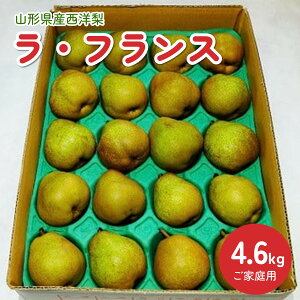 yӂ邳Ɣ[Łz EtX 4.6kg 20 MELTCY ƒp ʕ t[c mȂ  R` Yn  R` Rs 0012-2514