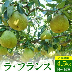 【ふるさと納税】ラ・フランス 4.5kg 14〜16玉 ご家庭用 西洋梨 フルーツ 果物 山形県 上山市 0012-2516