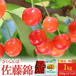 �y�ӂ邳�Ɣ[�Łz �������� ( ������ ) 1kg ( 500g×2�p�b�N ) M�� �G�i �ʕ� �t���[�c �R�`�� ��R�s 0012-2601