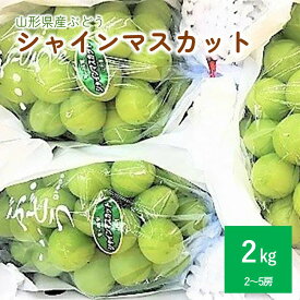 【ふるさと納税】ぶどう ( シャインマスカット ) 2kg フルーツ 果物 お取り寄せ 送料無料 山形県 上山市 0017-2513