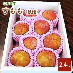 yӂ邳Ɣ[Łz  (HP) 2.4kg Gi 1.2kg × 2 X  v ʕ t[c   k R` Rs 0017-2508