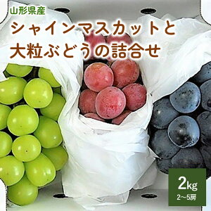 yӂ邳Ɣ[ŁzVC}XJbg  嗱 Ԃǂ  l ( i킨܂ ) Gi 2kg t[c ʕ   R` Rs 0017-2510