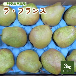 yӂ邳Ɣ[Łzm ( EtX ) 3kg ƒp tX t[c ʕ   R` Rs 0017-2516