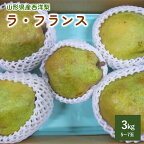 西洋梨 ラ・フランス 3kg （5玉～7玉） 7L ～ 5L 大玉 サイズ ご家庭用 果物 フルーツ 洋梨 お取り寄せ 産地直送 送料無料 山形県 上山市 0017-2417