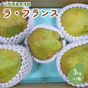 yӂ邳Ɣ[Łzm ( EtX ) 3kg × 2  ƒp t[c ʕ   R` Rs 0017-2520