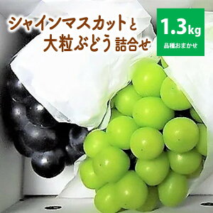 yӂ邳Ɣ[Łz VC}XJbg  嗱 Ԃǂ  l ( i킨܂ ) 1.3kg t[c ʕ   R` Rs 0017-2509