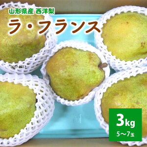 yӂ邳Ɣ[Łz m ( EtX ) 3kg  ƒp t[c ʕ   R` Rs 0017-2517