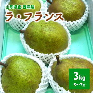 yӂ邳Ɣ[Łz m ( EtX ) 3kg  t[c ʕ   R` Rs 0017-2518