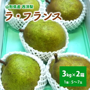 yӂ邳Ɣ[Łzm (EtX) 3kg × 2  7L`5L TCY Gi t[c ʕ   R` Rs 0017-2521