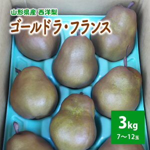 yӂ邳Ɣ[Łz m ( S[hEtX ) 3kg t[c ʕ   R` Rs 0017-2524