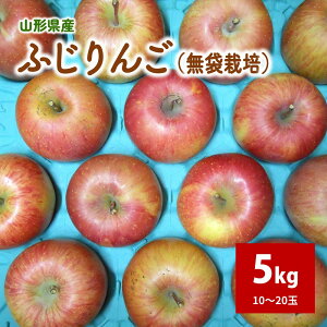 yӂ邳Ɣ[Łz (ӂ) 5kg ƒp ܍͔| 10`20 ʕ t[c  Yn  R` Rs 0017-2531