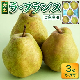 【ふるさと納税】 西洋梨 ( ラ・フランス ) 3kg 大玉 ご家庭用 フルーツ 果物 お取り寄せ 送料無料 山形県 上山市 0017-2616
