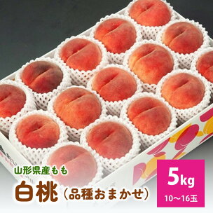 白桃 ( 品種 おまかせ ) 5kg 秀品 2026年産...