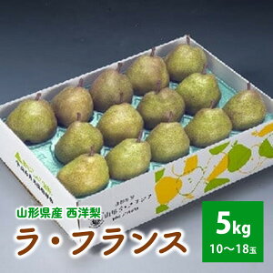 yӂ邳Ɣ[Łzm EtX 5kg t[c ʕ  R` Rs 0020-2513