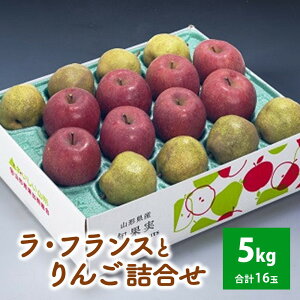 yӂ邳Ɣ[ŁzEtX   lߍ킹 5kg t[c ʕ  R` Rs 0020-2515