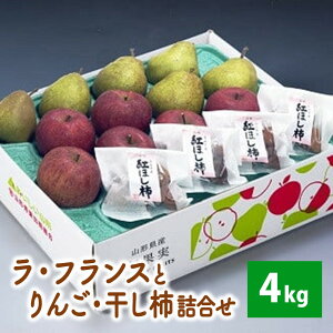 yӂ邳Ɣ[ŁzEtX  ` lߍ킹 4kg t[c ʕ  ` R` Rs 0020-2516
