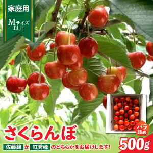 yӂ邳Ɣ[Łzځi   gG j500g ƒp ʕ t[c R` Rs 0020-2601