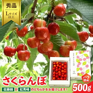 【ふるさと納税】さくらんぼ( 佐藤錦 か 紅秀峰 )500g 秀品 果物 フルーツ 山形県 上山市 0020-2602