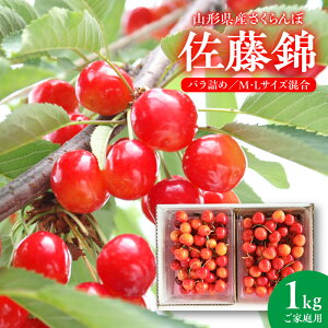 yӂ邳Ɣ[Łz (  ) 1kg ƒp R` Rs 0020-2606