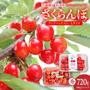 yӂ邳Ɣ[Łz (   gG ) 720g ( 180g ×4pbN ) t[hpbN R` Rs 0020-2607