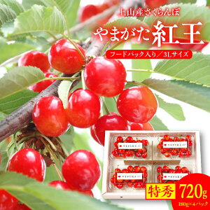 yӂ邳Ɣ[ŁzyRYz ( ܂ g ) 720g ( 180g ×4pbN ) Gi t[hpbN R` Rs 0020-2611