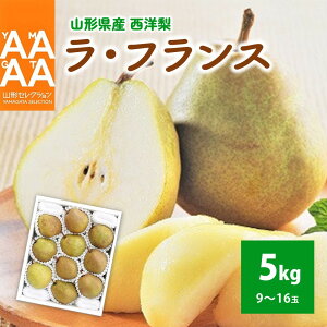 yӂ邳Ɣ[Łzm ( EtX ) 5kg Gi  tX mȂ m R` Rs 0021-2501
