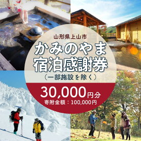 【ふるさと納税】 上山市 ふるさと納税 感謝券 30,000円分 (10,000円×3枚) 観光パンフレット付 宿泊券 旅行券 クーポン チケット かみのやま温泉 温泉 温泉宿 宿 ホテル 旅館 ペンション 旅行 観光 東北 山形県 山形 0023-2207