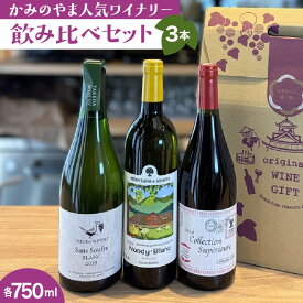 【ふるさと納税】【 山形 ワイン カーヴ 】 かみのやま 人気 ワイナリー 飲み比べ セット 山形県 上山市 0023-2601