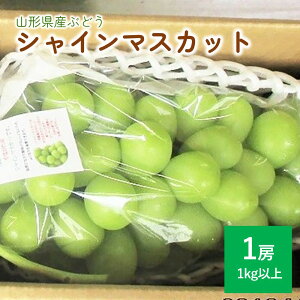 yӂ邳Ɣ[Łz Ԃǂ VC}XJbg 1[ ( 1kg ȏ) Gi ȏ ʕ t[c  Yn  R` Rs 0025-2508