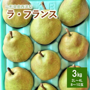 yӂ邳Ɣ[Łz m EtX 3kg Gi 10`8 2L`4L TCY ʕ t[c m  Yn  R` Rs 0025-2513