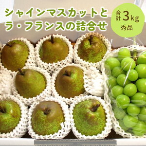 yӂ邳Ɣ[ŁzVC}XJbg  EtX ̋l 3kg ʕ t[c Ԃǂ tX m  Yn  R` Rs 0025-2511