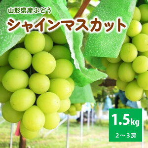 yӂ邳Ɣ[ŁzԂǂiVC}XJbgj1.5kg ƒp R` Rs 0025-2510