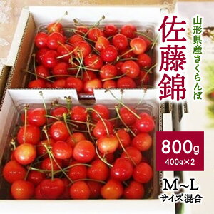 yӂ邳Ɣ[Łz  (  ) 800g ƒp ʕ t[c R` Rs 0025-2602