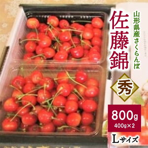 yӂ邳Ɣ[Łz  (  ) 800g ʕ t[c R` Rs 0025-2603