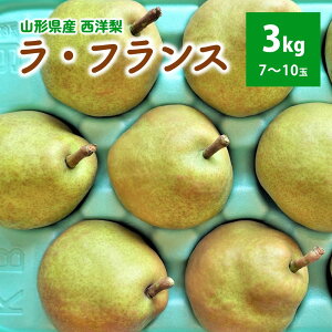 yӂ邳Ɣ[Łz m ( EtX ) 3kg ƒp R` Rs 0025-2514